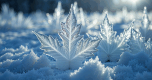 prezzi energia freddo